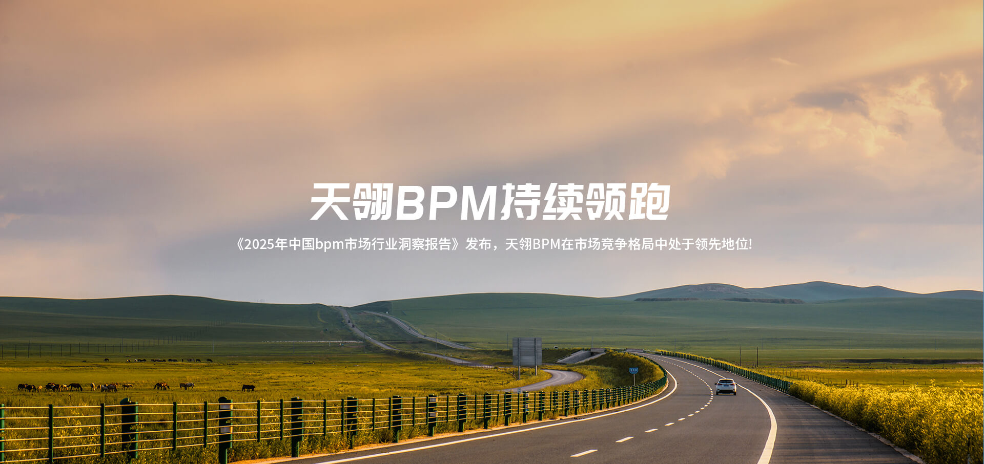BPM行業(yè)報(bào)告
